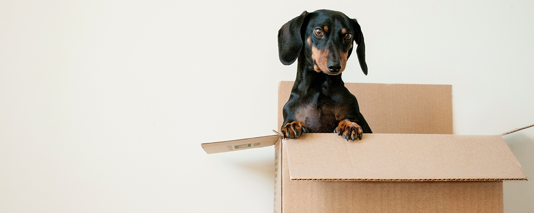 Buying a sectional title property